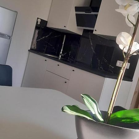 Apartma Ana Capodistria Esterno foto